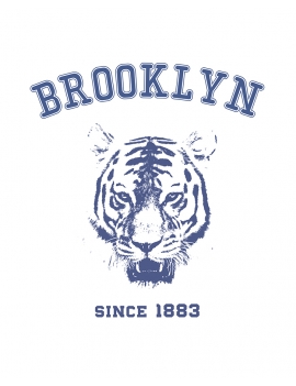 t-shirt brooklyn